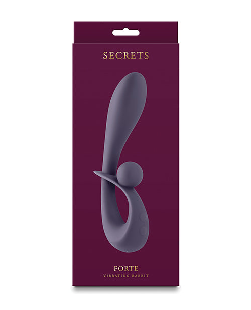Secrets Secrets Forte - Gray