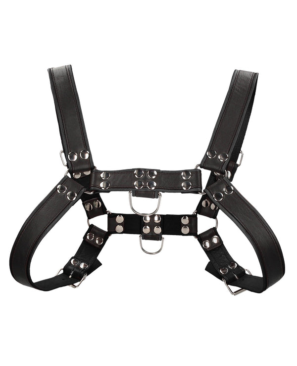 Ouch Uomo Shots Uomo Chest Bulldog Harness Large/XLarge - Black
