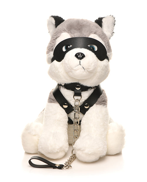 Master Series Master Series Max the Fetish Pup