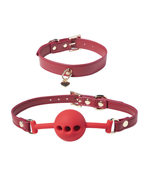 Honey Play Box Kinky Play Box Red Passion 8 pc Set Bondage Kit - Red
