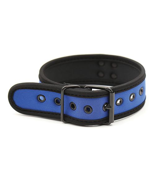 Plesur Plesur Neoprene Puppy Collar - Blue