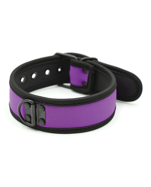 Plesur Plesur Neoprene Puppy Collar - Purple