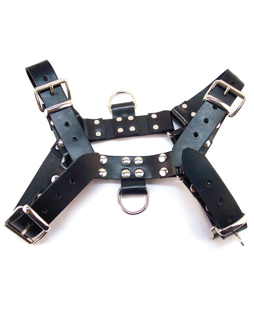 Rouge Rouge Over the Head Medium Harness - Black