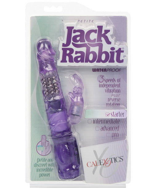 Jack Rabbit Jack Rabbit Petite - Purple